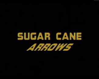Sugar Cane Arrows