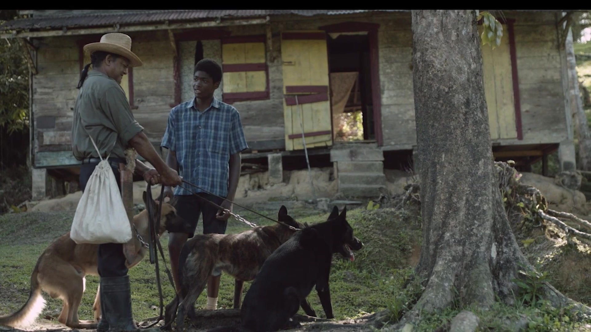 Green Days By The River Full Movie Green Days by the River - The Meet | Scene - Pavilion+